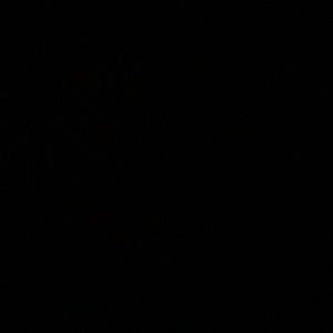 Meet your Posher, Behnaz